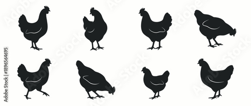 Set of black chicken silhouettes in various poses and movements