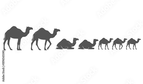 Camels in a desert landscape with silhouettes at sunset