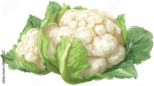 Whimsical Cartoon Cauliflower Clipart Vector Illustration for Creative Projects