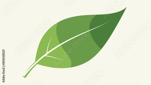 Green leaf icon illustration on a clean white background.
