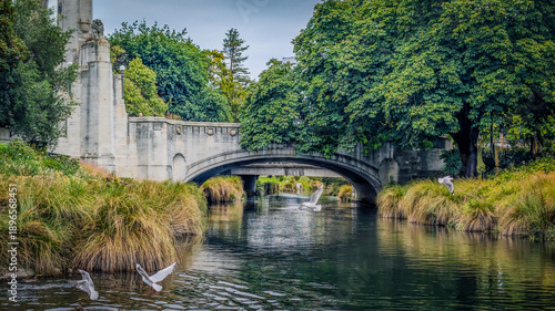 Fotografia Avon River in Christchurch flows beneath a stone bridge adorned with classical architectural elements