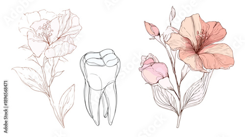 Dental and Flower Line Art Design Vector Illustration