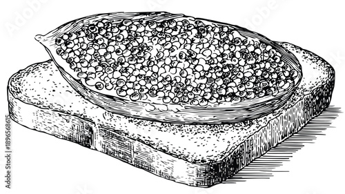 Exquisite Hand-drawn Sketch of Caviar on Bread Slice
