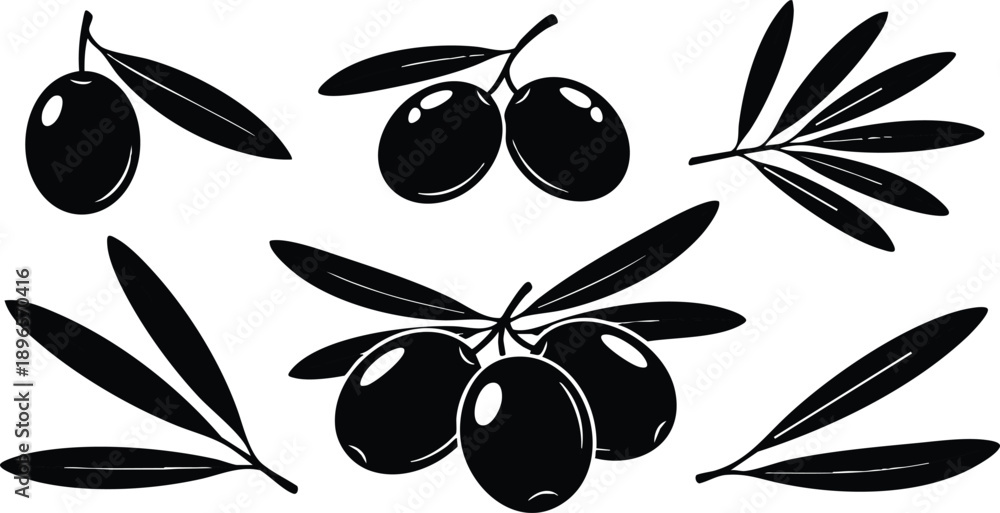 Fototapeta premium Black silhouette vector art of ripe olives with olive branches and leaves isolated on white background in flat simple style with detailed smooth shapes and natural organic composition