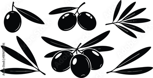 Black silhouette vector art of ripe olives with olive branches and leaves isolated on white background in flat simple style with detailed smooth shapes and natural organic composition