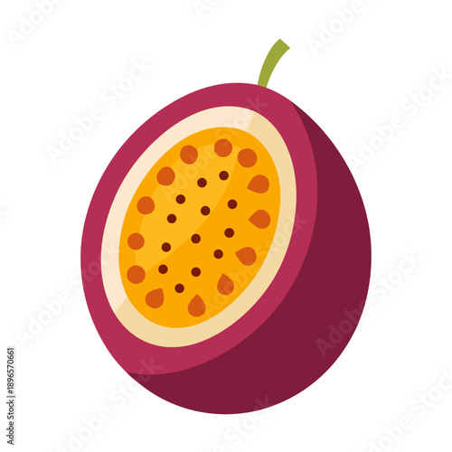 vector illustration of an orange fruit