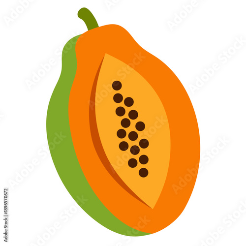 vector illustration of an orange fruit