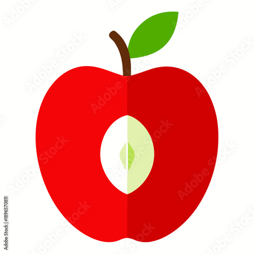 vector illustration of an apple