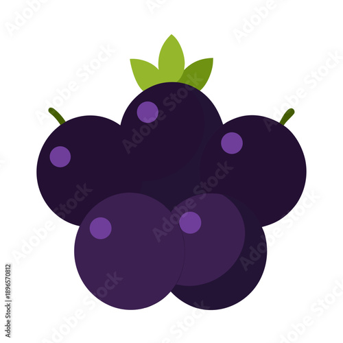 blueberries isolated on white background