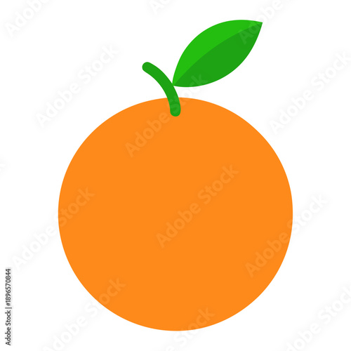 orange fruit vector illustration