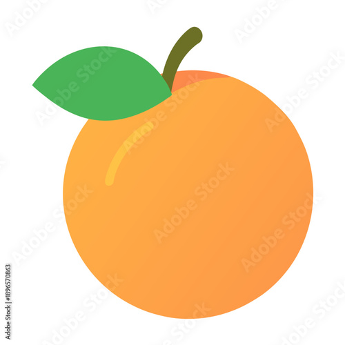 orange fruit vector illustration