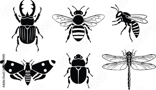 Black silhouette insect icons including stag beetle honeybee wasp moth beetle and dragonfly in vector art collection on white background