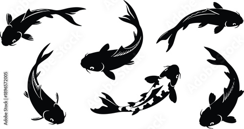 Black and white vector art of six koi fish swimming in circular formation isolated on white background detailed illustration of aquatic ornamental fish with flowing fins and tails