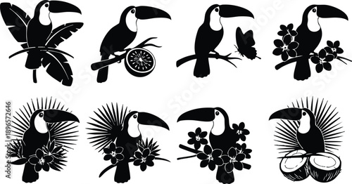 Vector art close up toucan perched on branch with tropical flowers palm leaves and coconut slice silhouette set in bold black graphic style flat tropical icons