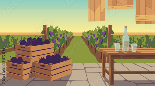 Vineyard Harvest with Wine and Grapes.