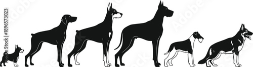 Dog silhouettes, canine breeds, Chihuahua, Labrador, Doberman, Great Dane, Boxer, German Shepherd, pet icons, animal graphics, breed comparison, flat vector illustration