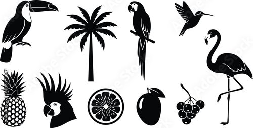 Black silhouette vector art of tropical birds flamingo hummingbird toucan cockatoo parrot with palm tree pineapple mango grapefruit and grape bunch collection