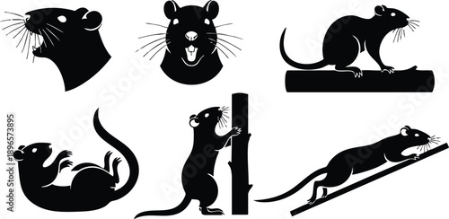 Silhouette vector art showing various black rats in different poses including climbing running sitting and growling with detailed whiskers on white background