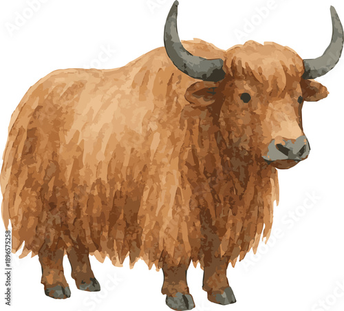 Vector adorable watercolor illustration of yak