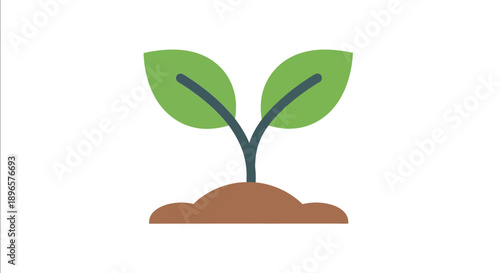 Small green plant sprout growing.