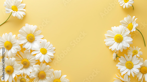 Elegant White Chamomile Flowers on Soft Yellow