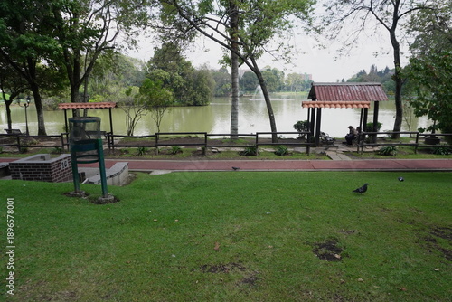 Paisaje con fondo de lago y palomas