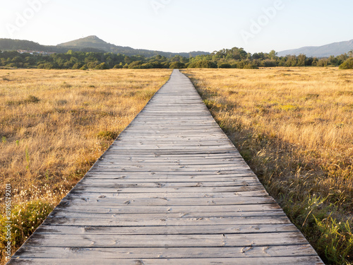 Wooden boardwalk extending through dry grass landscape
