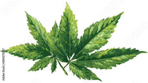 Colorful Cartoon Style Vector Illustration of Marijuana Leaf for Creative Designs