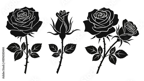 Three black roses with leaves in various stages of bloom, presented in a simple, graphic illustration style.