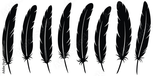 Collection of eight black silhouette bird feathers on a white background quill writing