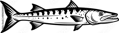 Stylized Barracuda Illustration: Minimalist Ink Drawing of a Pre
