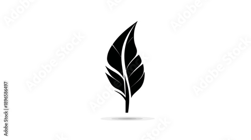 A simple, elegant black silhouette of a feather, set against a pristine white background