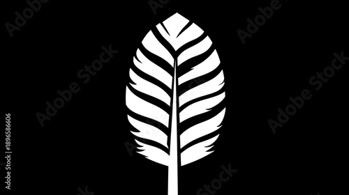 A white, stylized feather illustration. It features a central stem and asymmetrical barbs against black