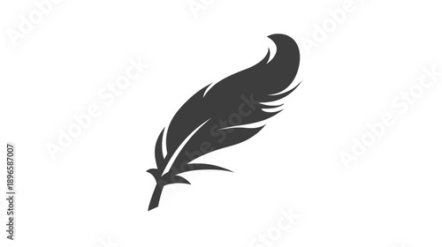 A stylized gray feather is displayed on a white background. It points upwards