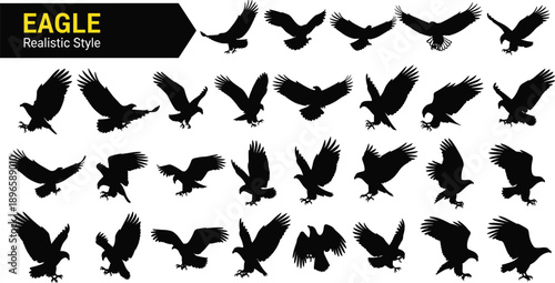 Eagle silhouette collection showing multiple flying and perching poses realistic style bird of prey wings talons arranged in grid wildlife design flat vector illustration