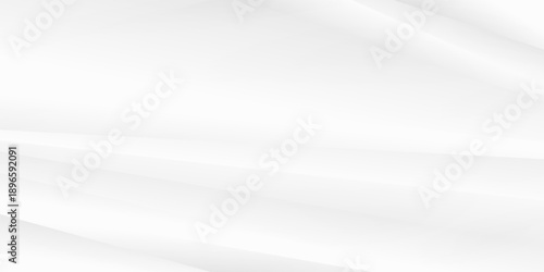 Gray color and white color and black color background abstract art vector