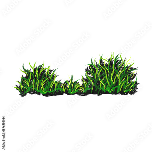 Organic hand painted grass illustration created using artistic paintbrush strokes. This natural botanical artwork features soft textures and expressive brush details, suitable for nature backgrounds, 