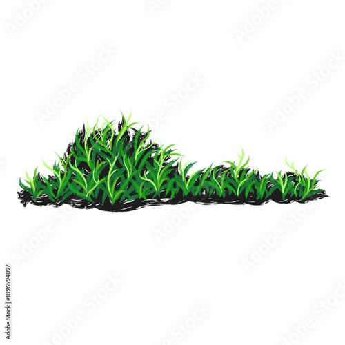 Organic hand painted grass illustration created using artistic paintbrush strokes. This natural botanical artwork features soft textures and expressive brush details, suitable for nature backgrounds, 