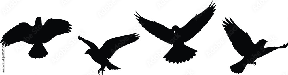 Obraz premium Silhouettes of Birds in Flight
