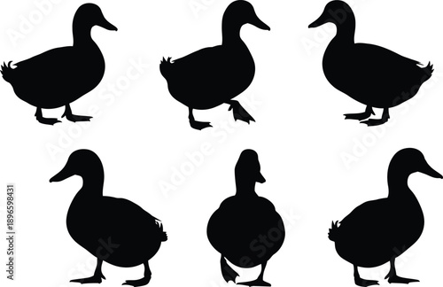 Collection of Black Duck Silhouettes in Various Poses