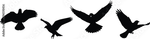 Silhouettes of Birds in Flight