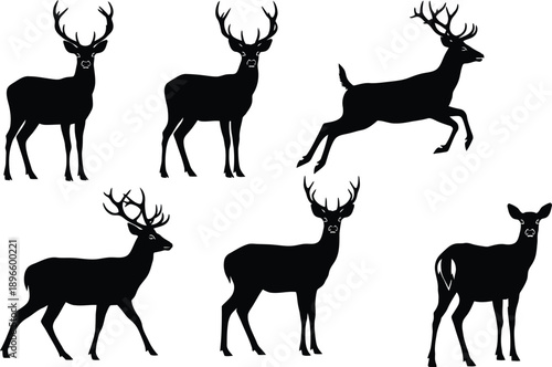 Collection of Black Deer Silhouettes in Various Poses