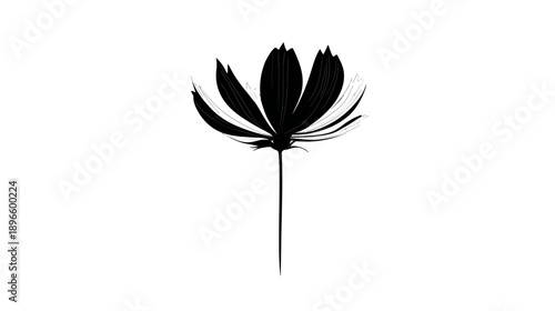 Black and white illustration of a stylized flower, petals open, stem extends downward