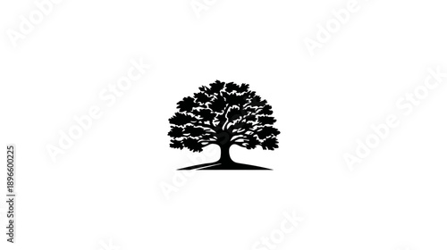 Silhouetted black tree with dense foliage and roots, set against a blank white backdrop