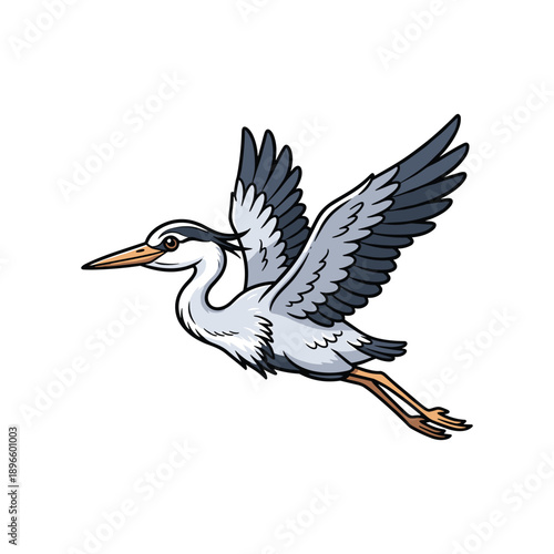 Flying heron bird in mid air with wings spread over white background illustration