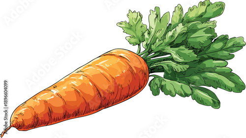 Playful Cartoon Style Carrot Clipart Vector Illustration for Creative Designs