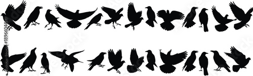 Bird silhouette icon collection showing multiple species in flight perched standing mid motion poses arranged in rows wildlife ornithology design flat vector illustration