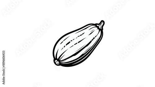 A black and white illustration of a long, oval-shaped fruit or vegetable