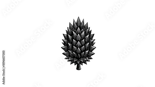 A black and white illustration of a cone-shaped botanical structure on a blank white background