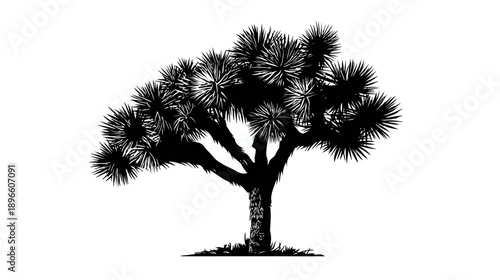Silhouetted illustration of a desert plant with spiky leaves. A stark black and white design